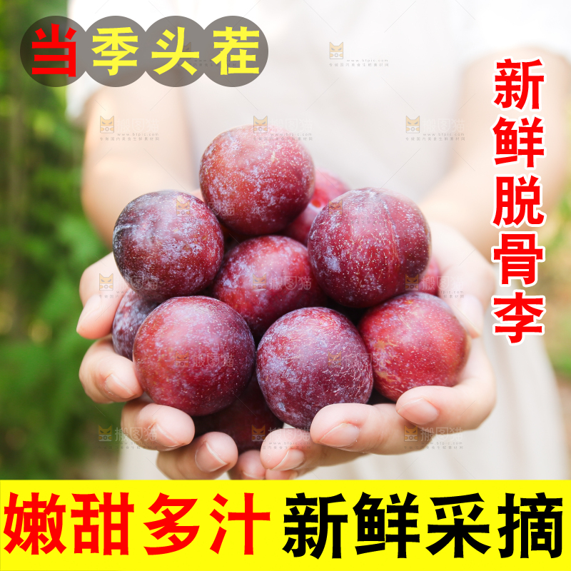 木底上放着红脱骨李