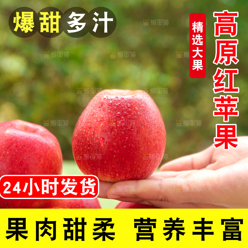 手里拿着高原红苹果