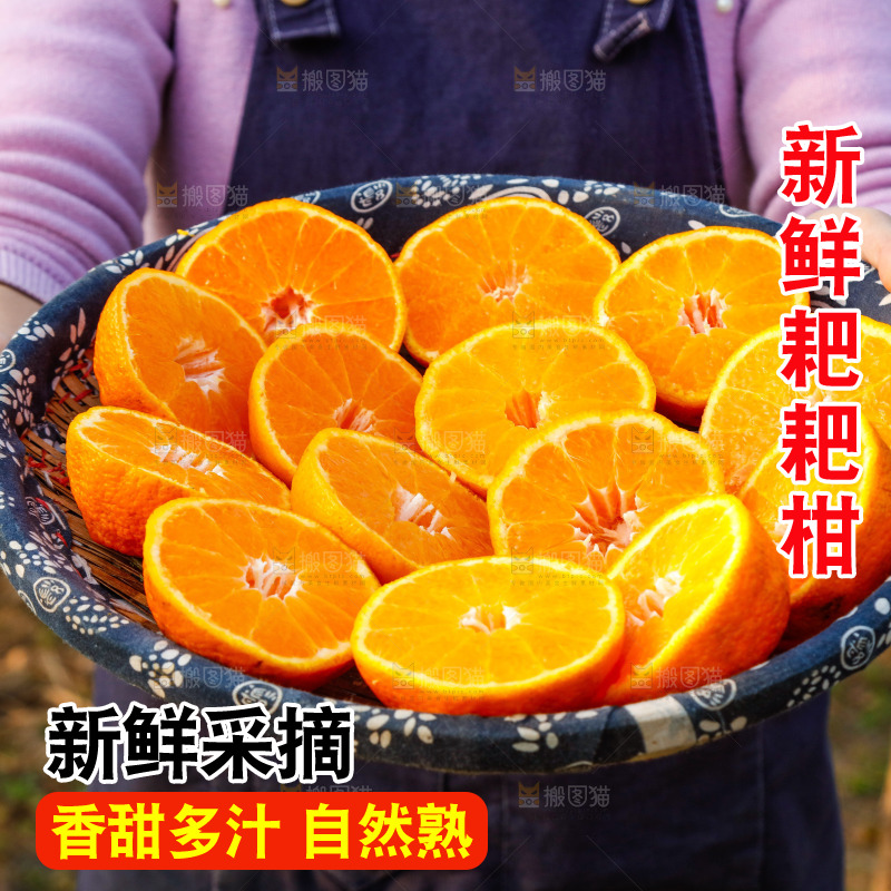 草地上的耙耙柑