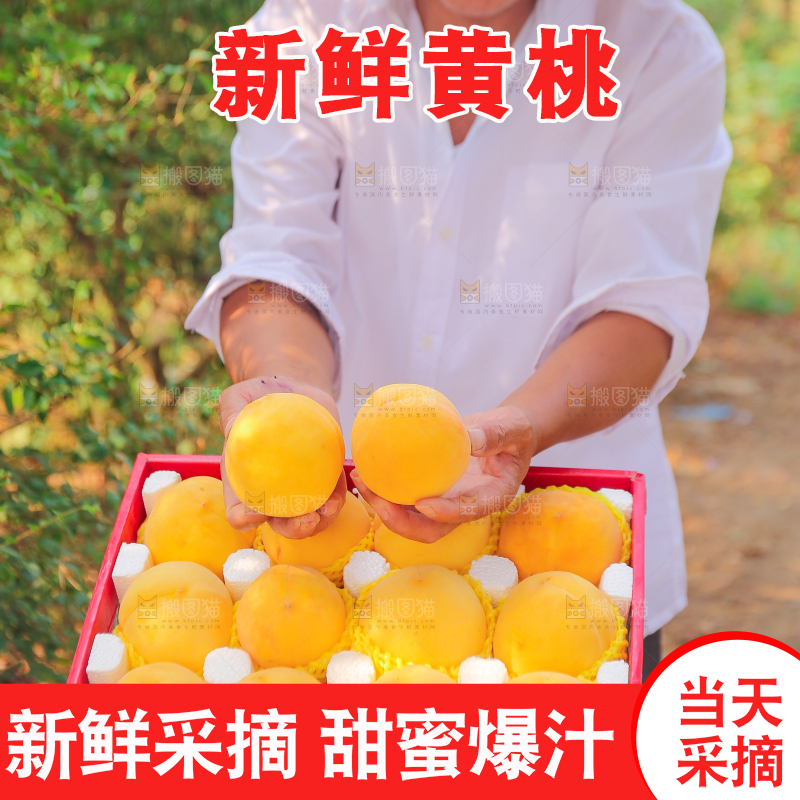 手里拿着炎陵黄桃