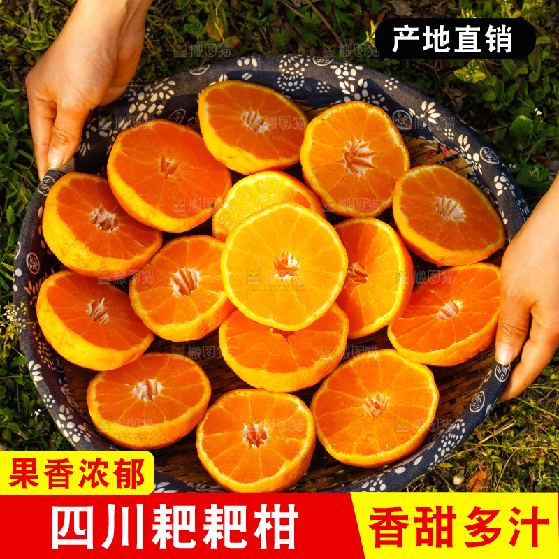 草地上的耙耙柑