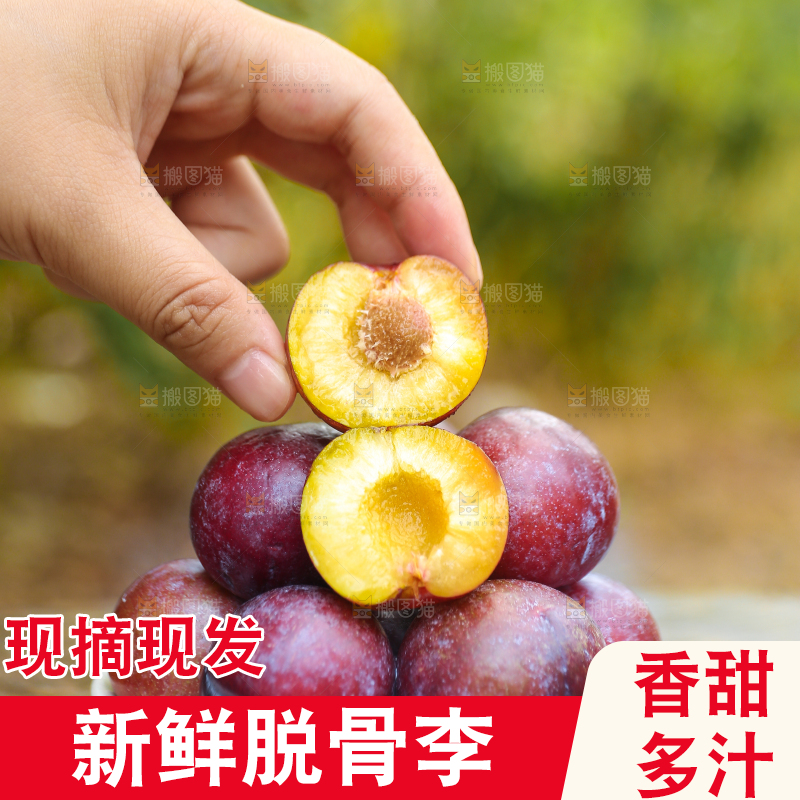 木底上放着红脱骨李