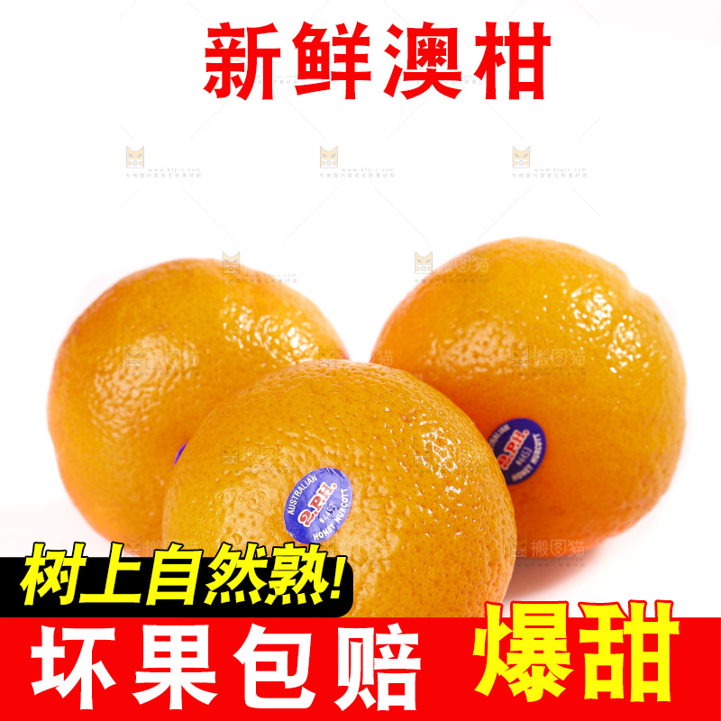 白底上放着新鲜澳柑