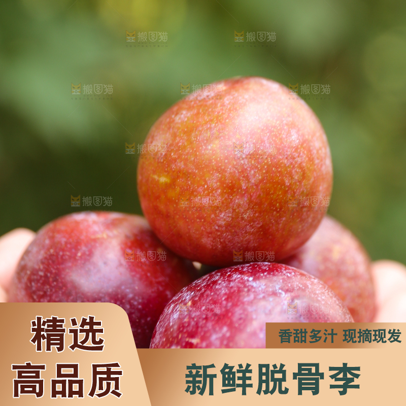 木底上放着红脱骨李