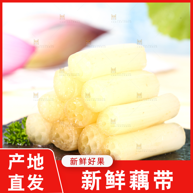 浅底上的藕带