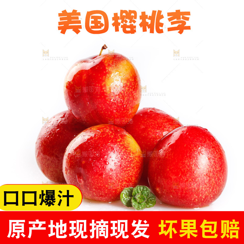 白底上的樱桃李