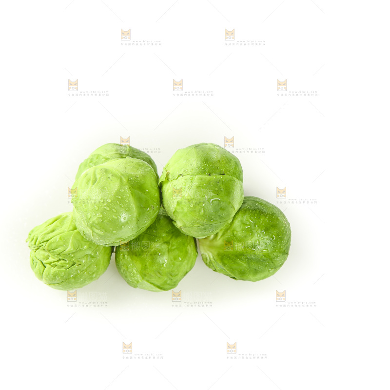 白底上的孢子甘蓝
