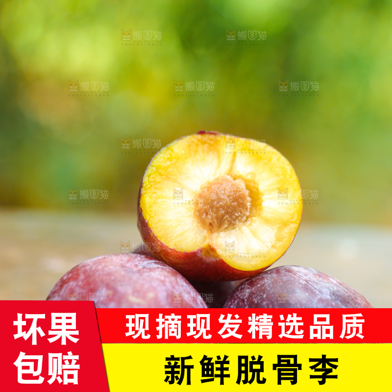 木底上放着红脱骨李