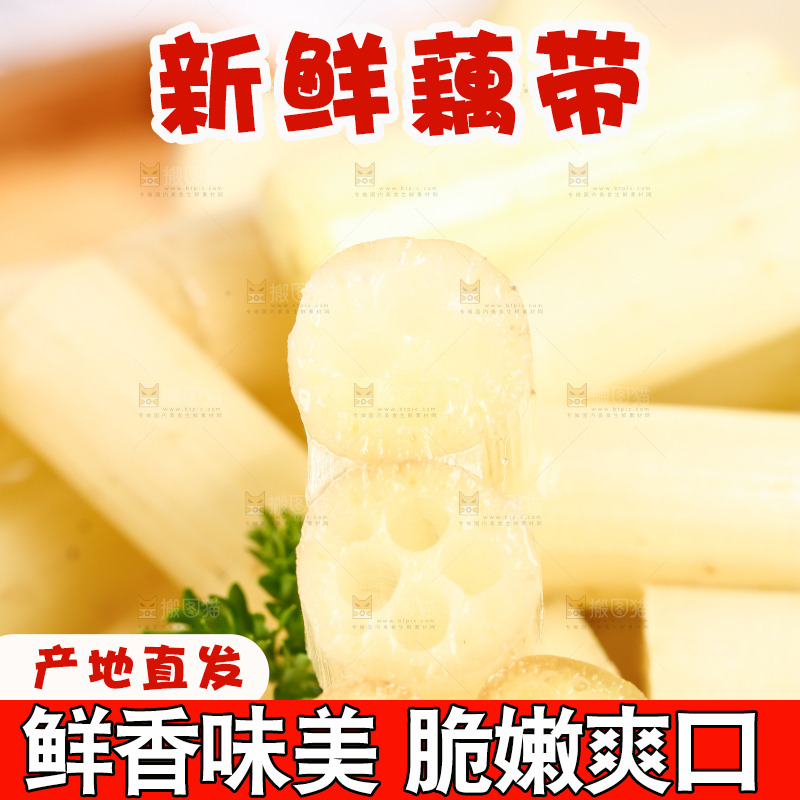浅底上的藕带