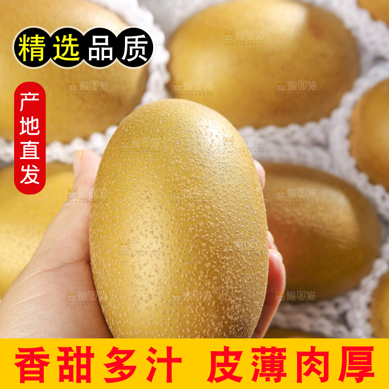 深底上放着佳沛奇异果