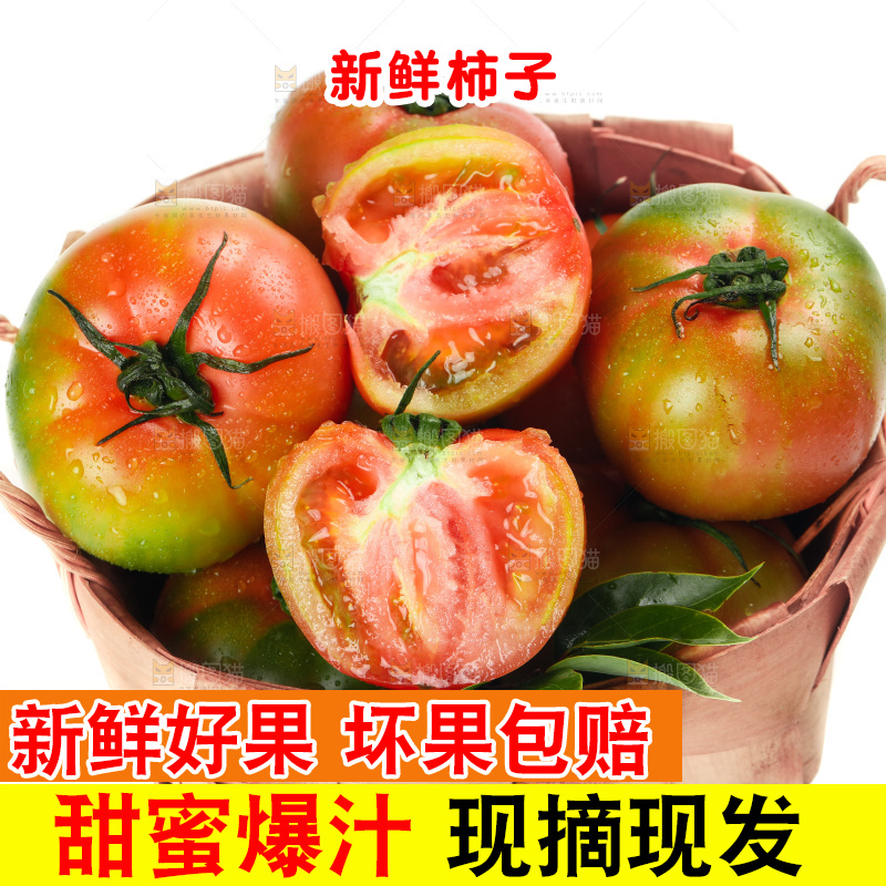白底上放着铁皮西红柿