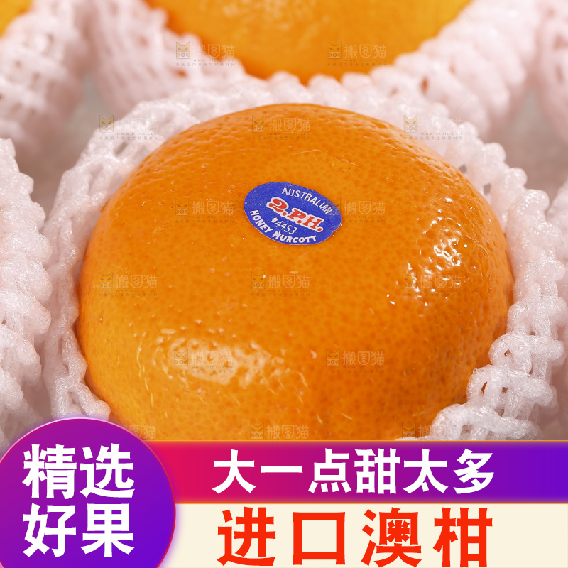 深底上的澳柑