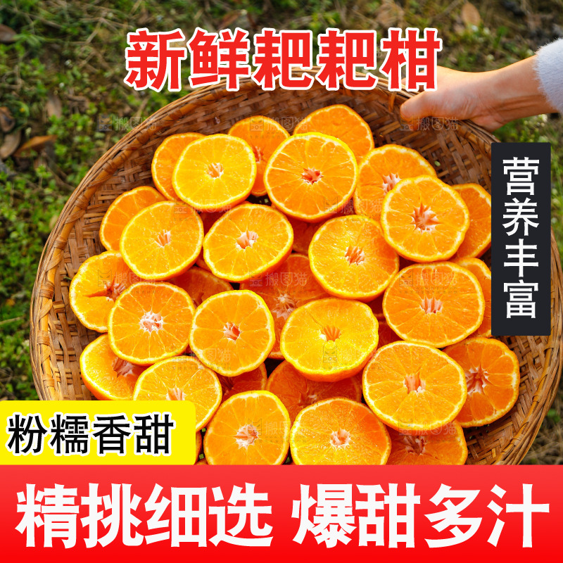 草地上的耙耙柑