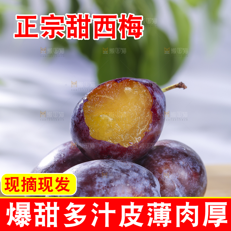 浅底上的西梅