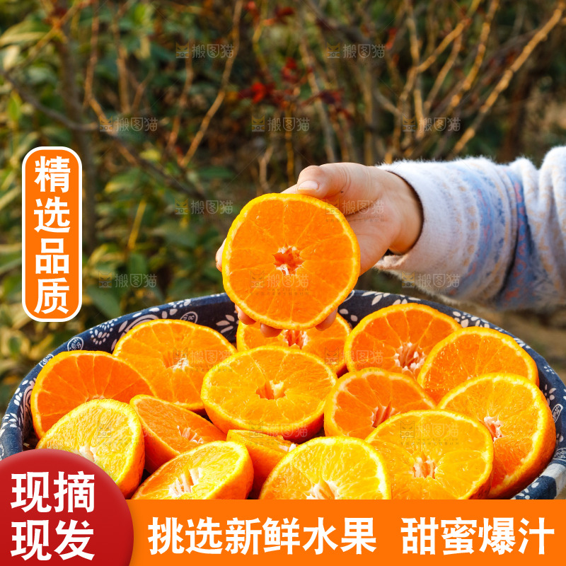 草地上的耙耙柑