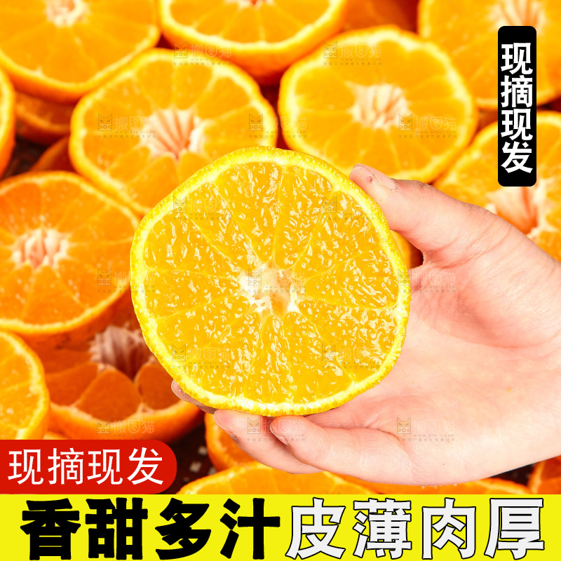 白底上放着切开的新鲜丑柑