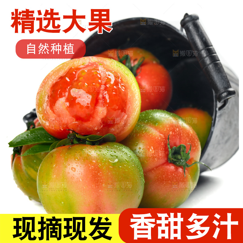 白底上放着铁皮西红柿