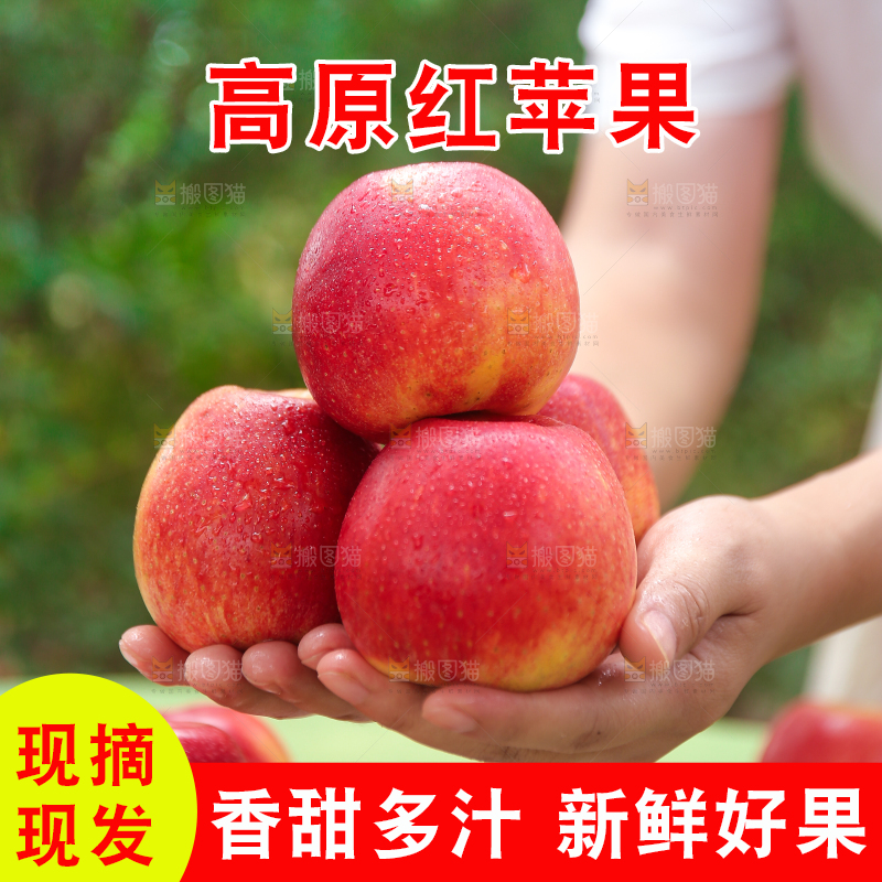 手里拿着高原红苹果