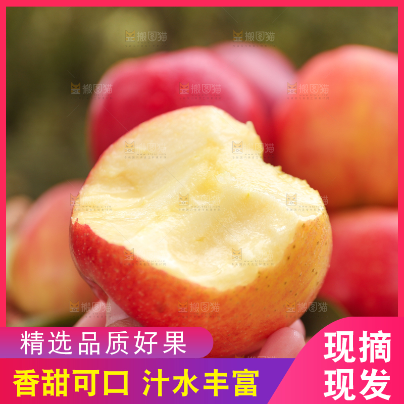 手里拿着高原红苹果