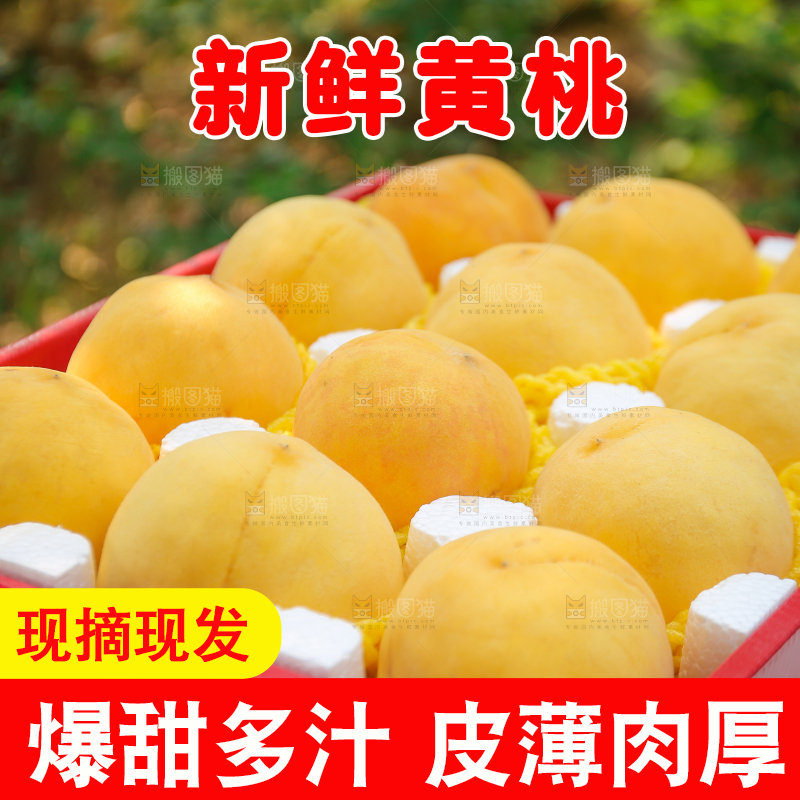 手里拿着炎陵黄桃