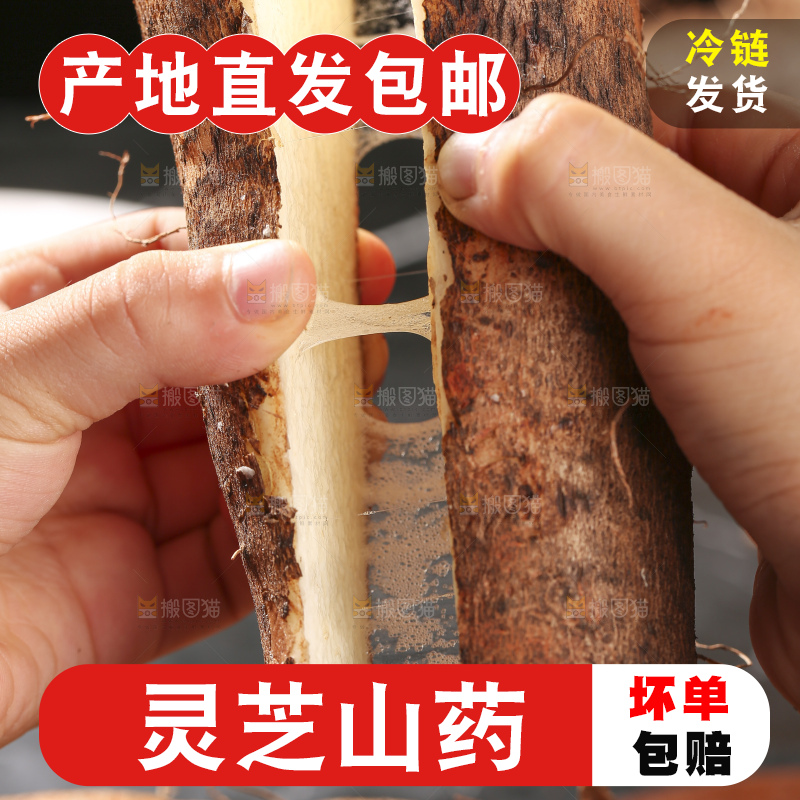 手里拉丝的灵芝山药