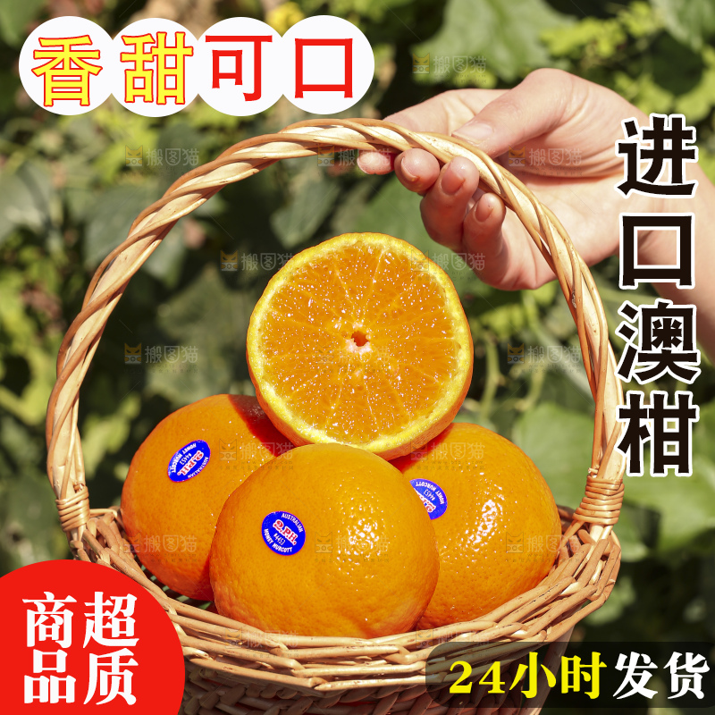 手里拿着进口澳柑