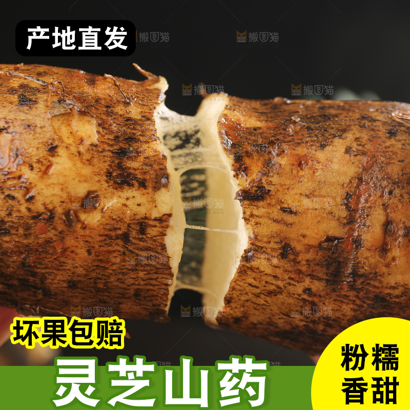 深底上的灵芝山药