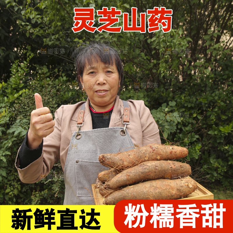 手里拿着灵芝山药