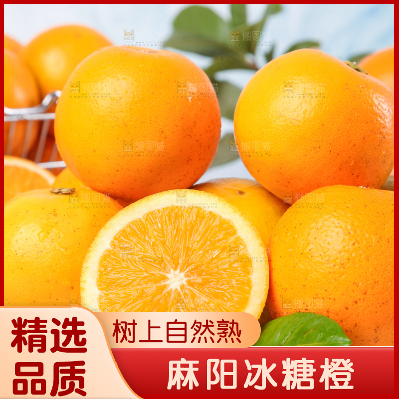 浅底上的麻阳冰糖橙