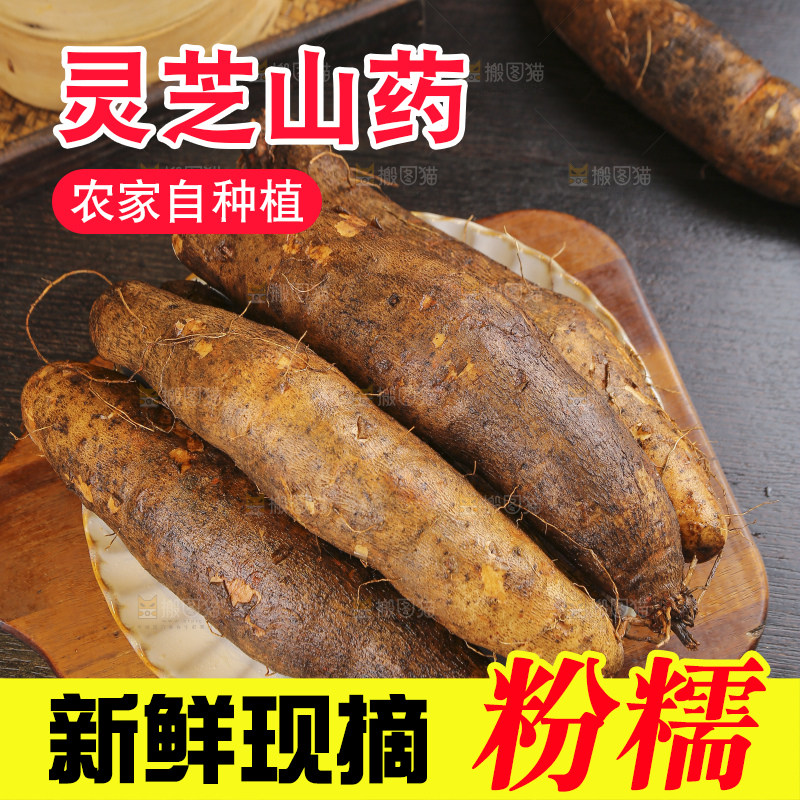 深底上的灵芝山药