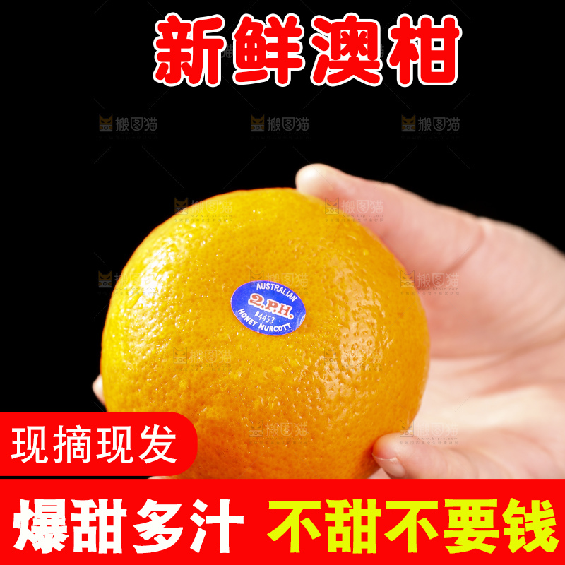 深底上的澳柑