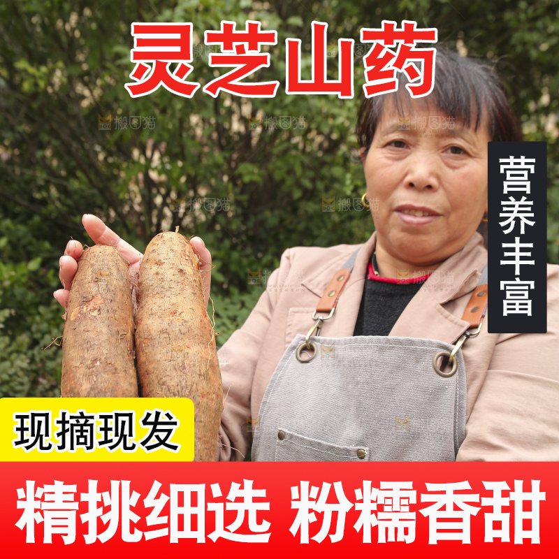手里拿着灵芝山药