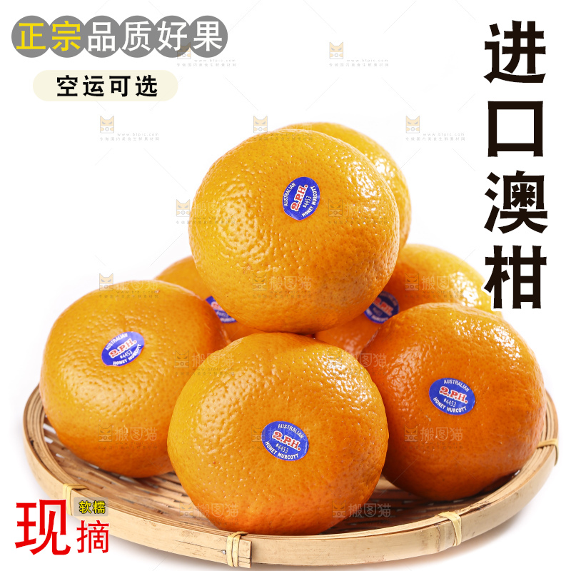 白底上放着新鲜澳柑