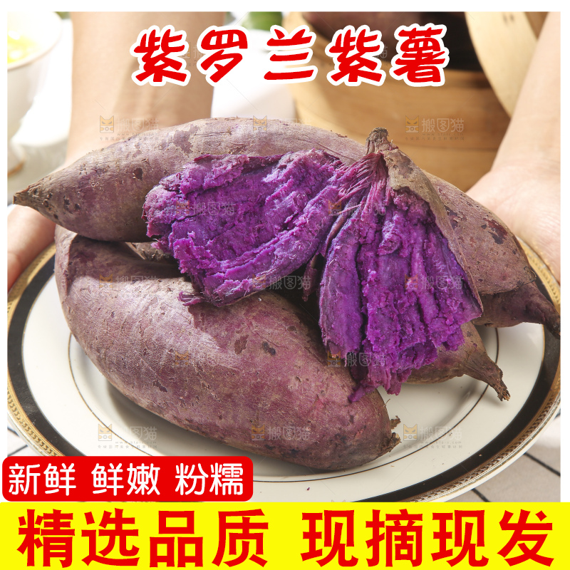 浅底上的板栗紫薯