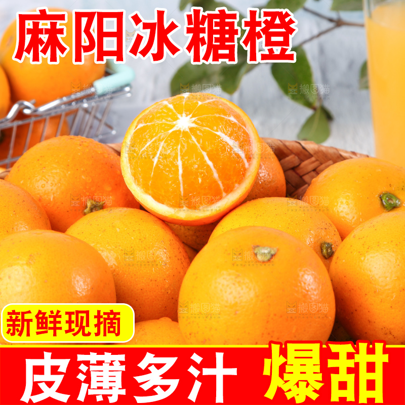 浅底上的麻阳冰糖橙