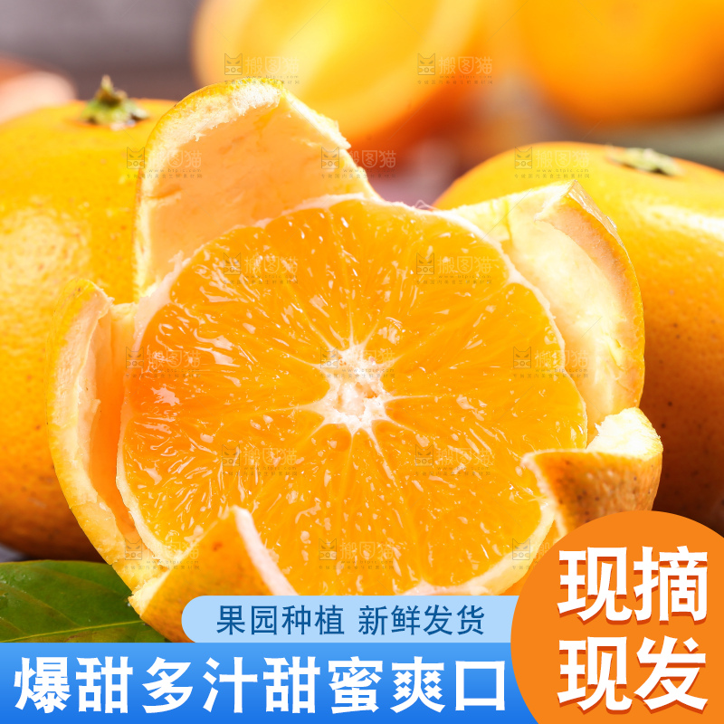 木底上的麻阳冰糖橙