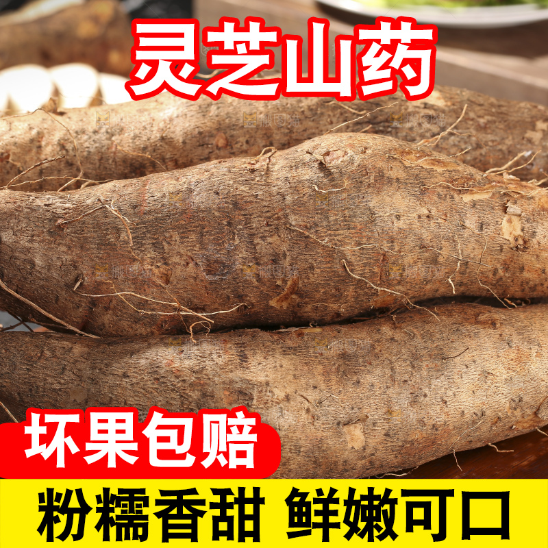 深底上放着灵芝山药