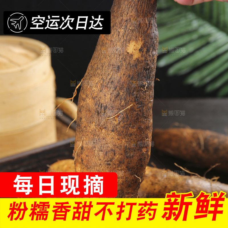 深底上的灵芝山药