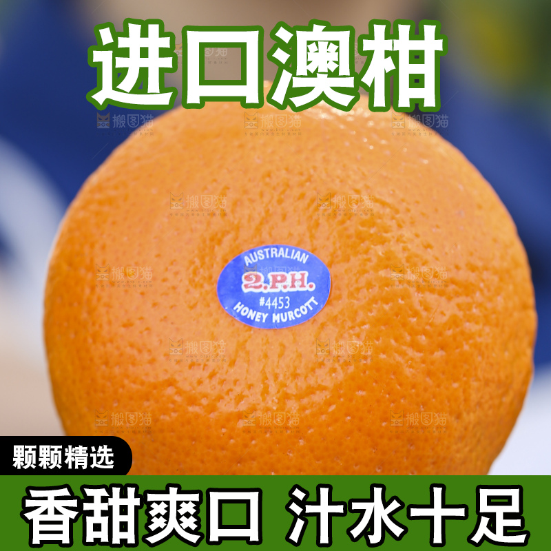 手里拿着进口澳柑