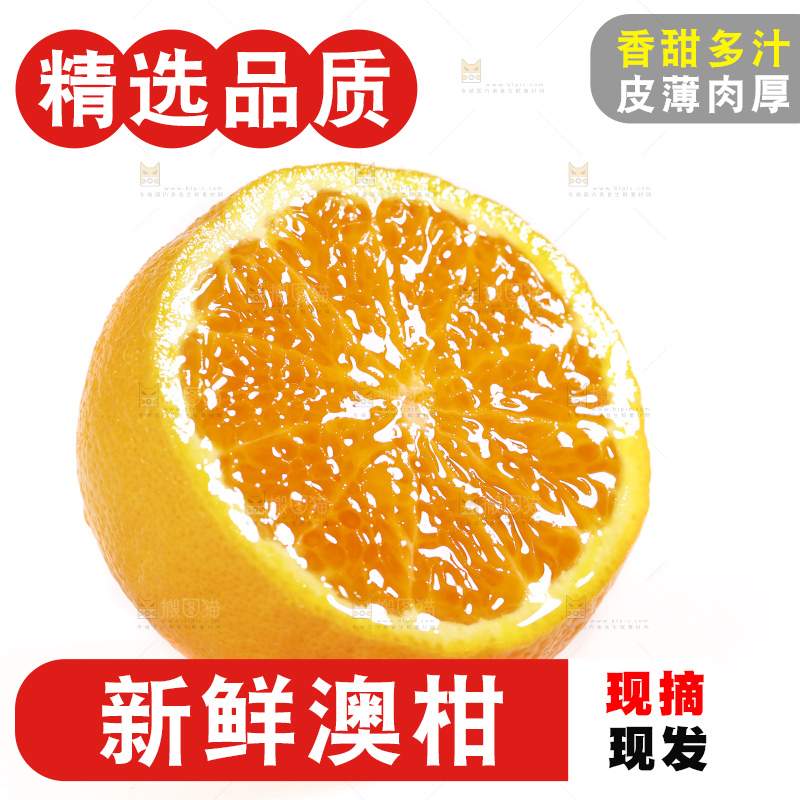 白底上放着新鲜澳柑