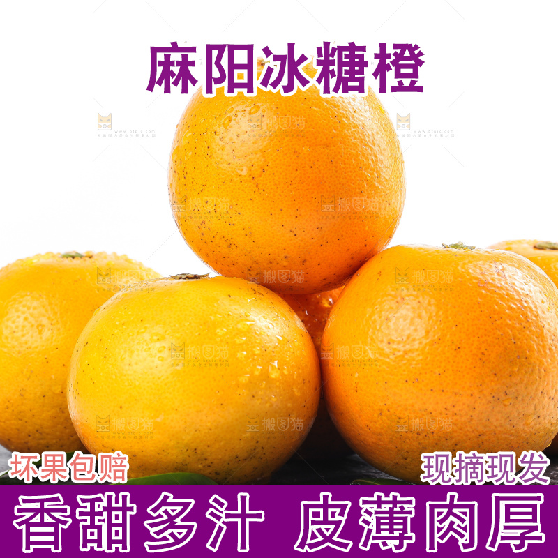 白底上的麻阳冰糖橙