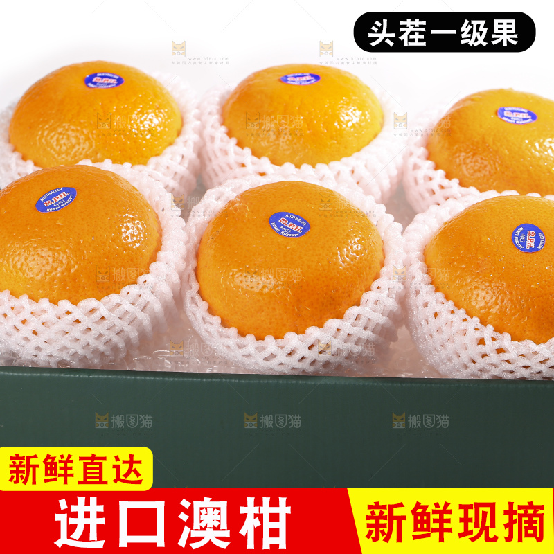 白底上放着新鲜澳柑