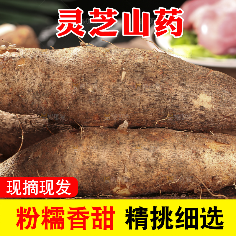 深底上放着灵芝山药