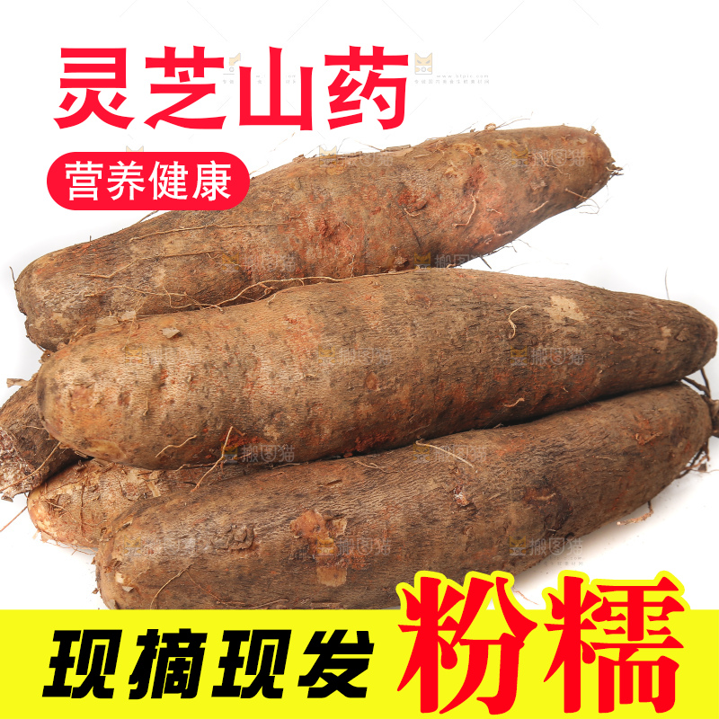 白底上放着灵芝山药