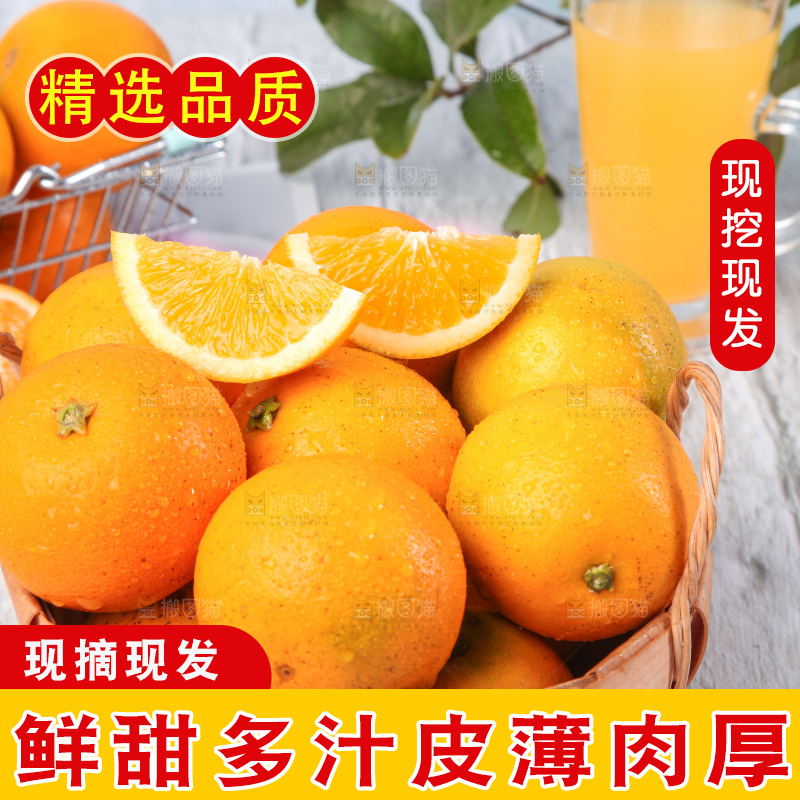 浅底上的麻阳冰糖橙