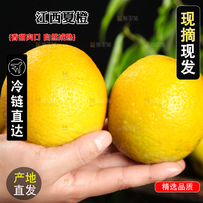 深底上放着夏橙