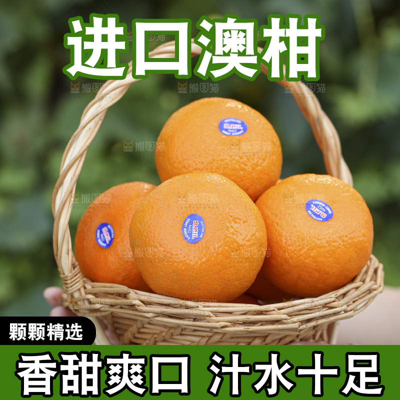 手里拿着进口澳柑