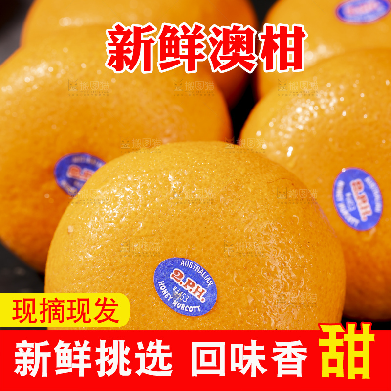 深底上的澳柑