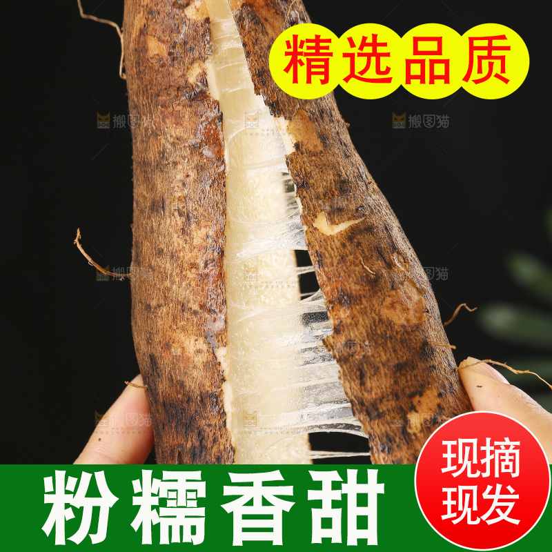 深底上的灵芝山药