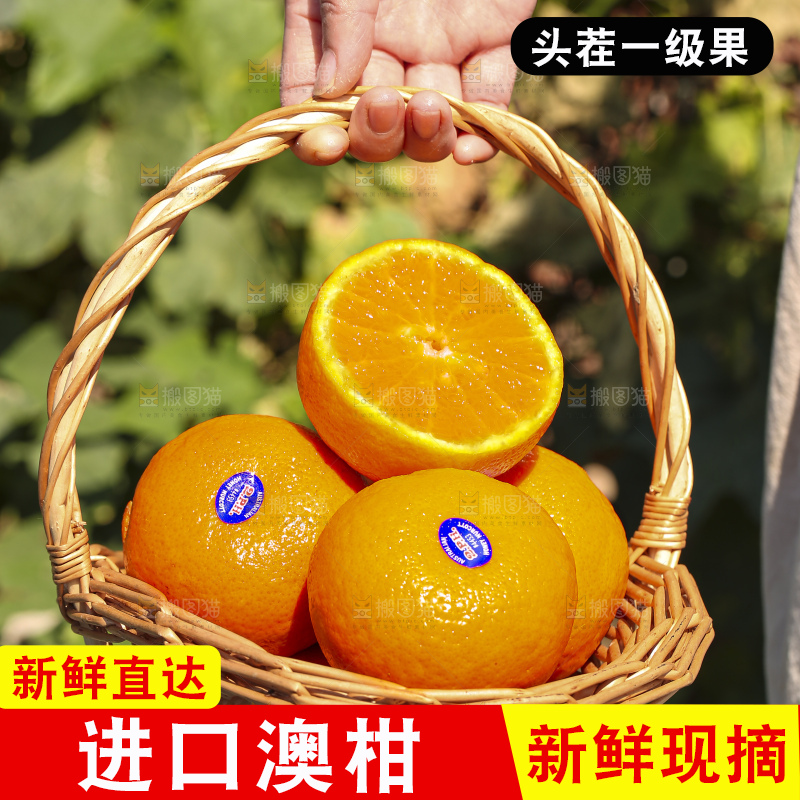 手里拿着进口澳柑